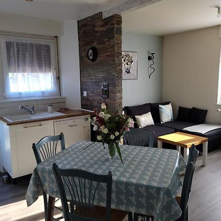 Appartement Au Cigogneau à Munster  Extérieur photo