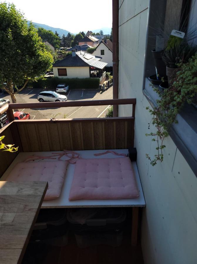 Appartement Au Cigogneau à Munster  Extérieur photo